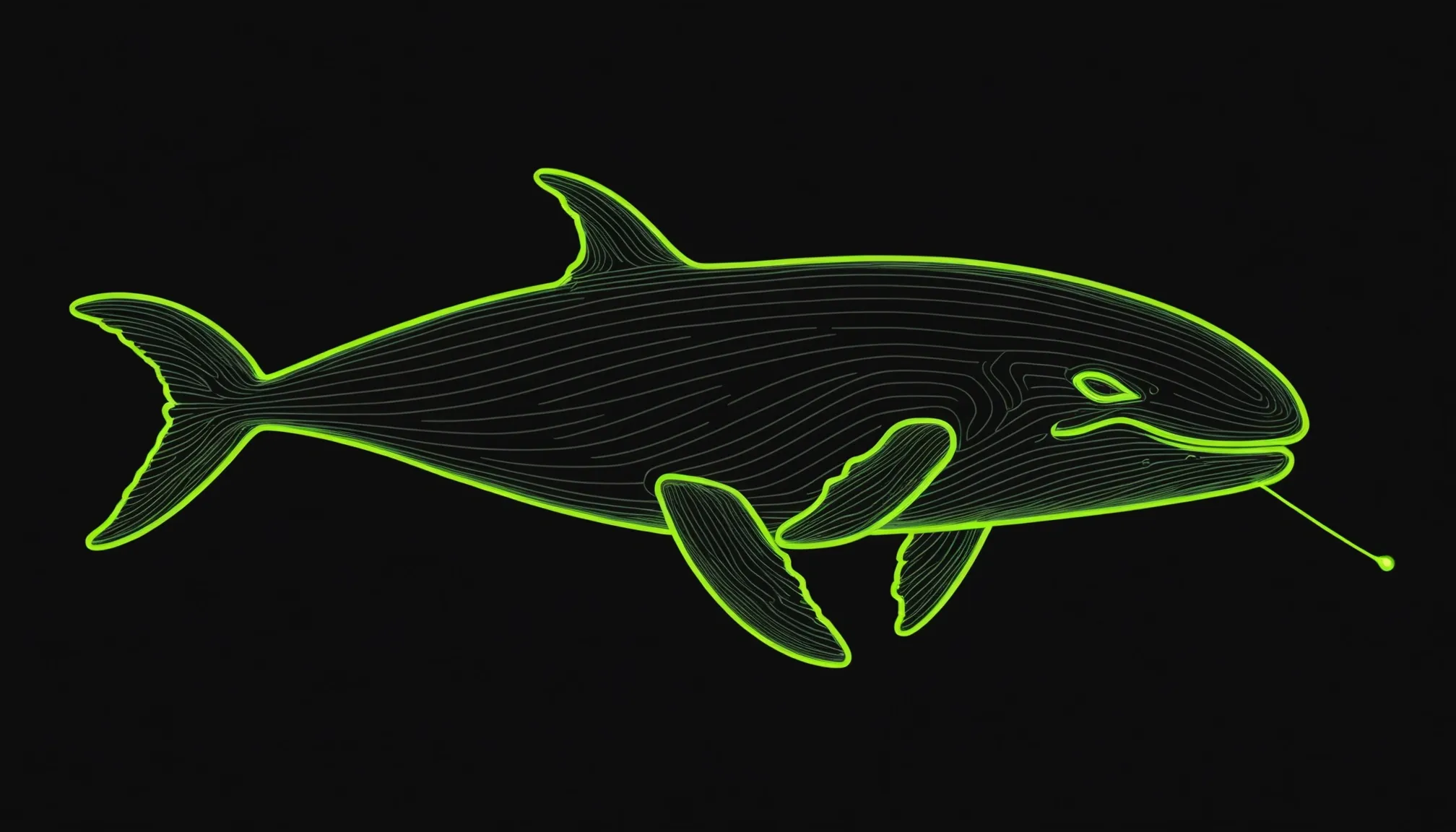 Silueta de ballena dibujada con finas líneas verde lima sobre fondo negro, con un trazo que termina en un nodo